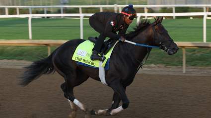 ¿Correrá Golden Tempo el Preakness? Lista completa de los 14 caballos y sus probabilidades de ganar.