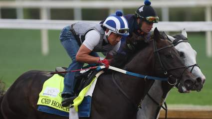 Chip Honcho: Conozca al jinete, José Ortiz, al entrenador, al caballo y a los propietarios en Preakness.