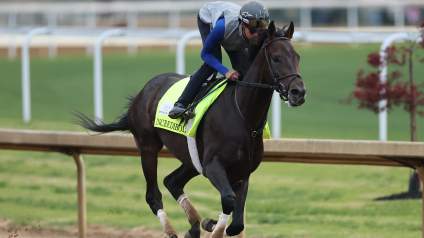 Incredibolt se suma oficialmente al Preakness tras la actualización sobre la lesión de Silent Tactic.