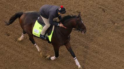Preakness 2026: ¿Cuáles son las probabilidades de Golden Tempo tras su victoria en el Derby de Kentucky?