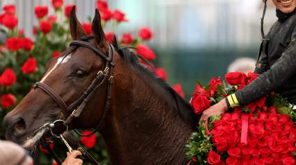 Golden Tempo se retira del Preakness tras su emotivo triunfo en el Derby.