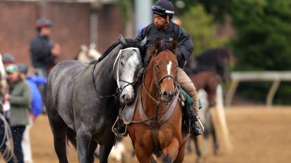 ¿Correrá Great White el Preakness Stakes? El incidente del Derby plantea interrogantes.
