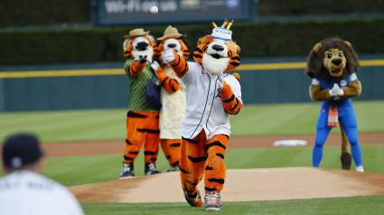 Paws cumple 31 años: La historia detrás de la querida mascota de los Detroit Tigers