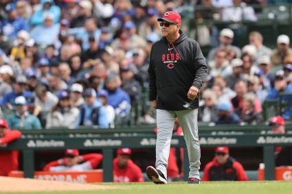 Los Rojos de Cincinnati fichan a un jugador de la MLB con 8 años de experiencia durante la Serie Nacional.