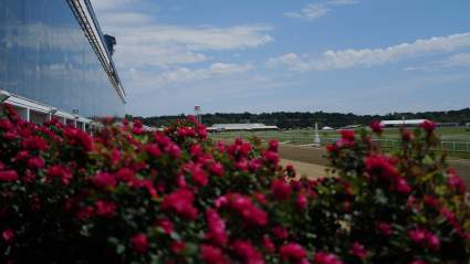 ¿Cuándo es el Preakness? Calendario completo de carreras y horarios del Preakness y Black-Eyed Susan 2026