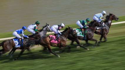Resultados y premios del Preakness 2026 tras la victoria en solitario de Napoleon