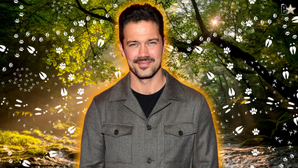 Ryan Paevey, exestrella de Hallmark, equilibra Hollywood con la naturaleza: lleva a sus fans a dar un paseo "en busca de bichos".