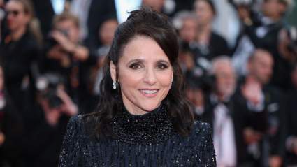 La estrella de 'Seinfeld', Julia Louis-Dreyfus, habla sobre cómo consiguió su icónico papel.