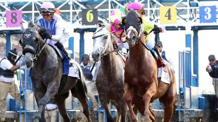 Posiciones de salida del Belmont Stakes 2026: Participantes completos, últimas bajas.