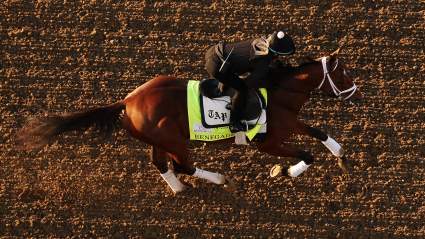 ¿Quiénes participan en el Belmont Stakes?: Todos los caballos, entrenadores y jinetes confirmados.